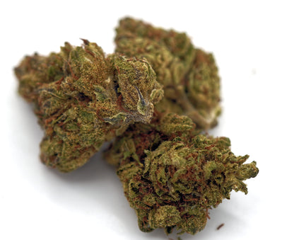ICC x Jealousy Premium Organic AAA+ THCA Flower 14 grams Hybrid