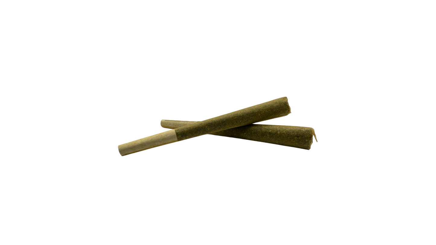 Jack Herer (S) Two Pack THCa Pre-Rolls